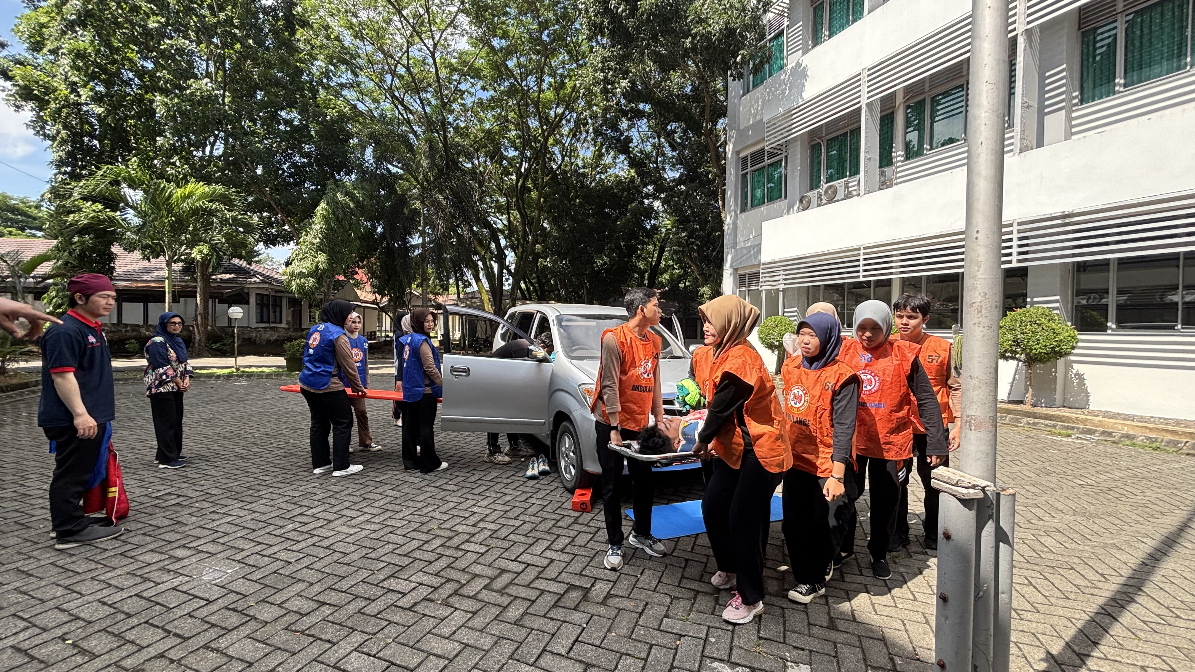 btcls bjm 1
